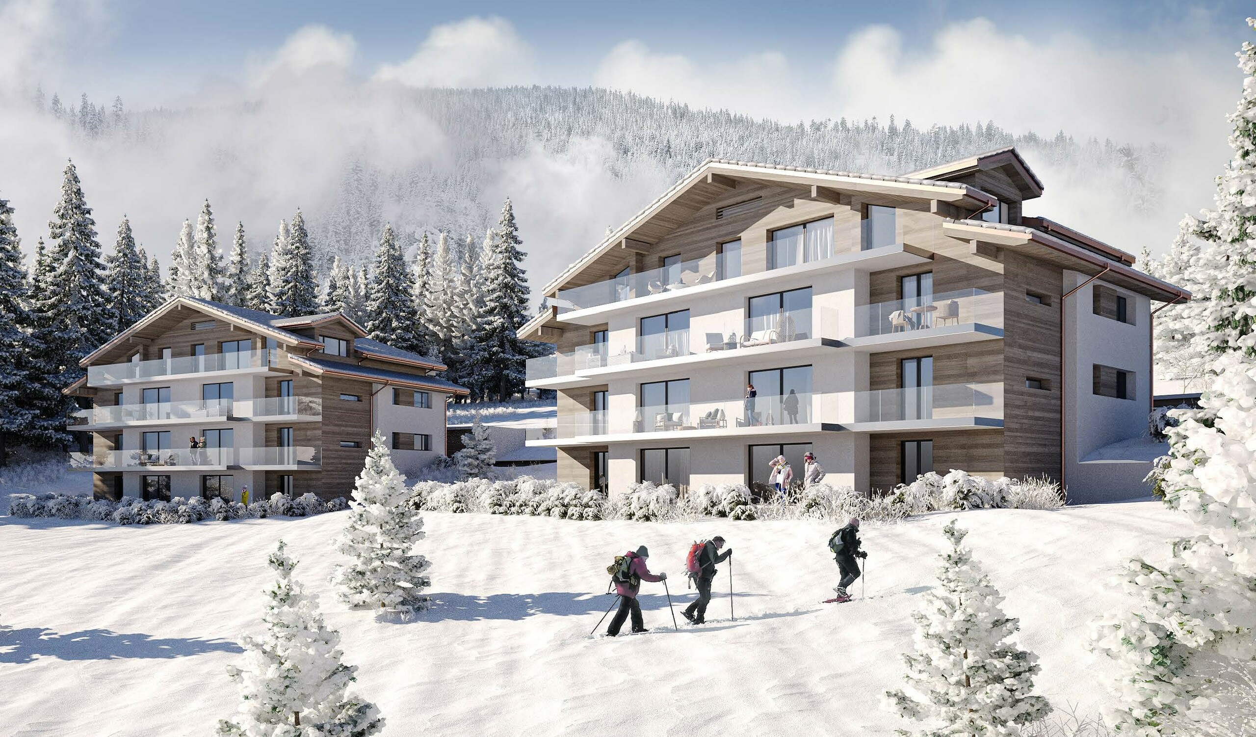 For Sale Promotion in Crans-Montana Mountain Mortgage loan sale purchase